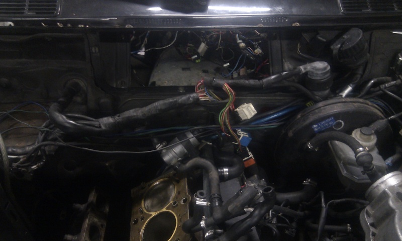 The Styl' garage en mode is Imag0726