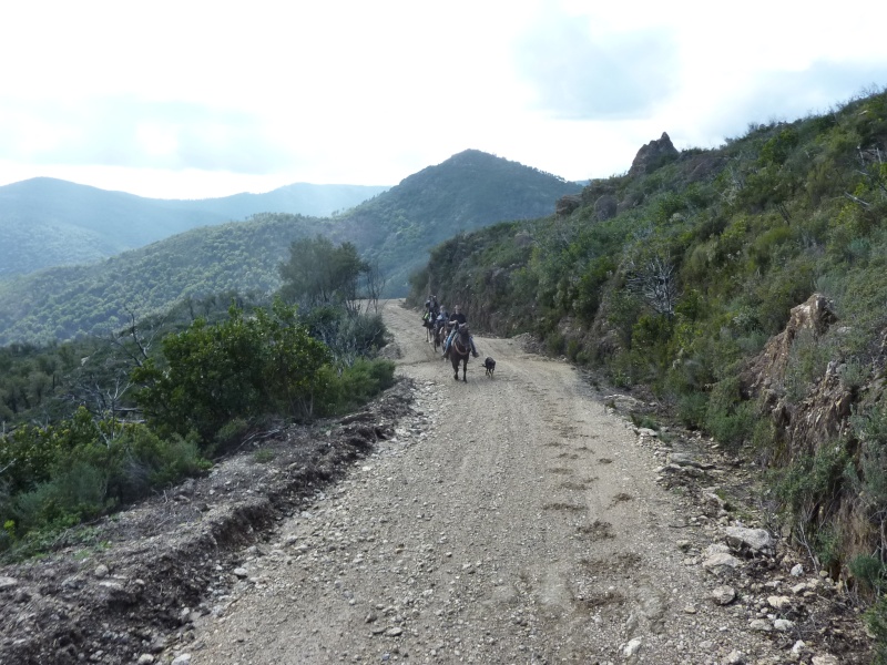 La rando des Maures 20100333