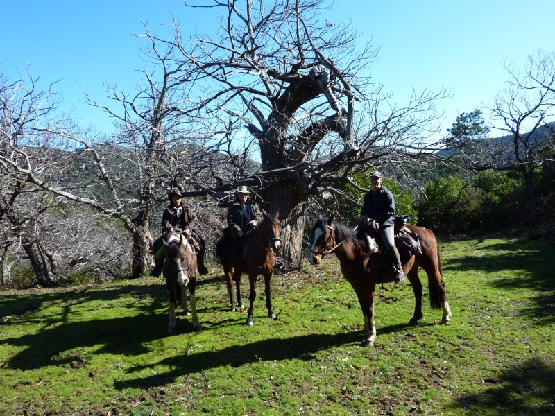 La rando des Maures 20100373