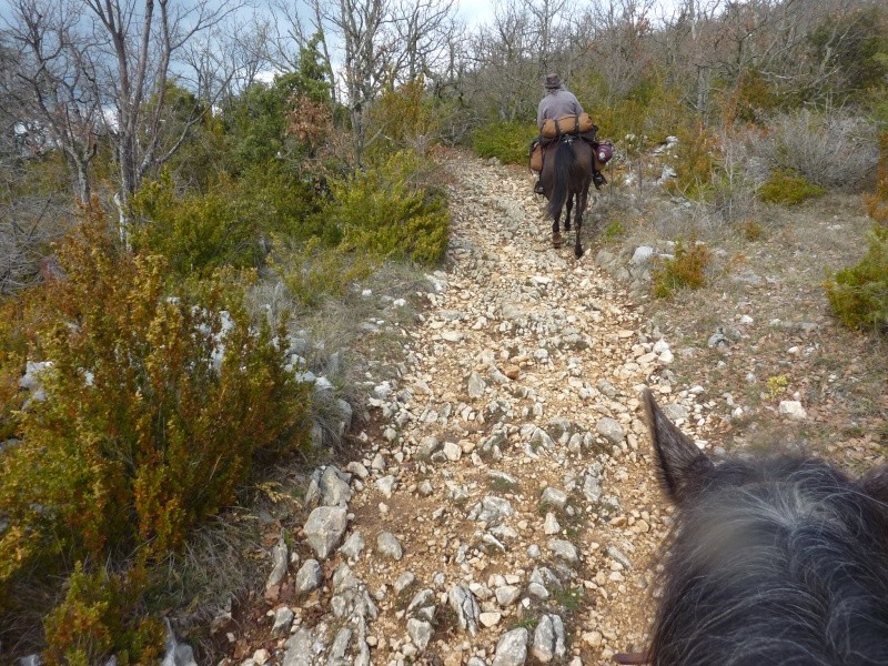 Au pied du Ventoux (4 jours) R_201112