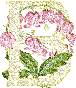 alphabet complet avec des fleurs B55