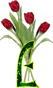 alphabet complet avec des fleurs E66