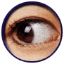 oeil - Anatomie de l'oeil Oeil310