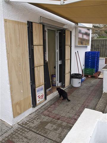 Charlie, un bello gato de 8 aos en apuros.Est en la calle. Cdiz Charli12