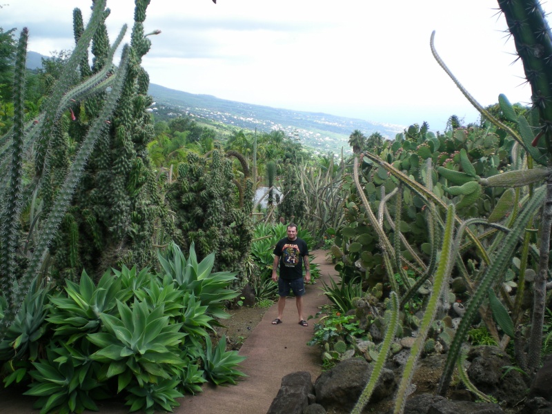 succulentes vues à la Réunion Reuni103