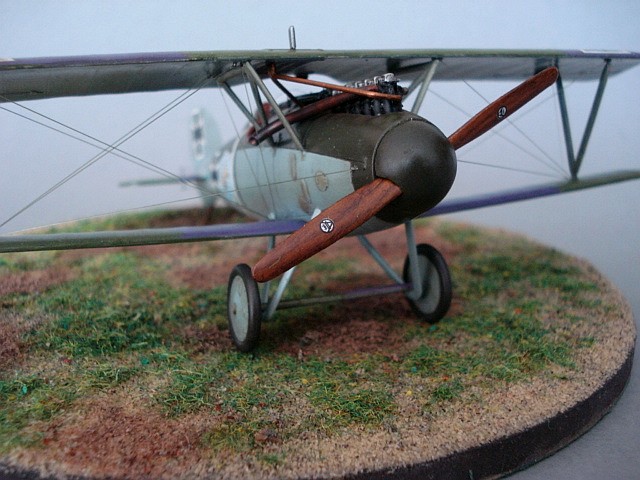 Albatros D.V. Eduard 1/48. Albatr18