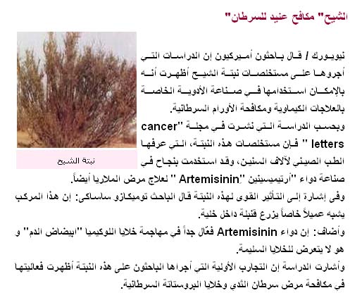 Nos plantes aromatiques et médicinales Arteme10