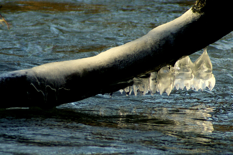 glaons de la morge Dsc05011