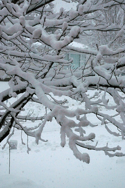 première neige à Québec Hiver210