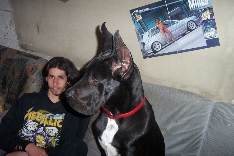 Mon frere et mon chien Marcel12