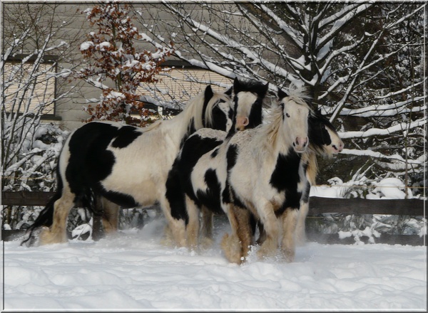 La petite troupe de la Corne du Bois les pieds dans la neige Sans_t19