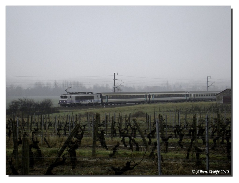 Les trains de la Percée du vin jaune dans le gris 1/2 Aoi20112
