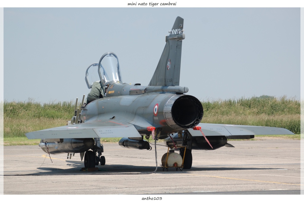 Mirage 2000D - Page 8 Dsc_2416