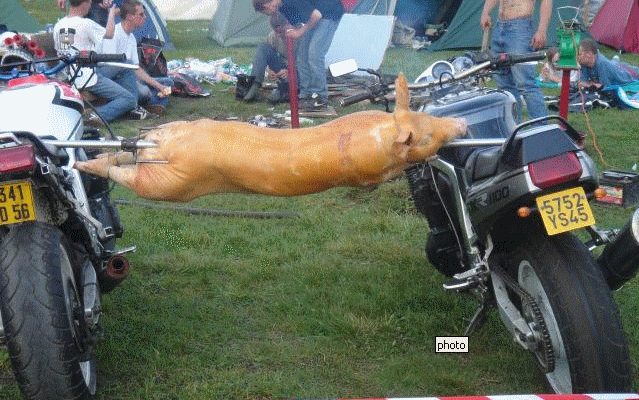 Un coin pour les motards " barges "  ... Cochon10