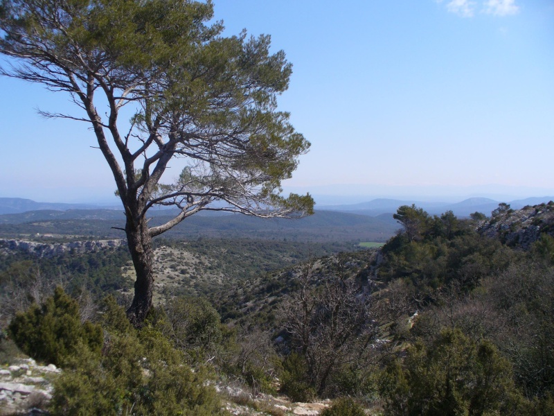 photos d'une semaine de vacances en Provence D_sur_10