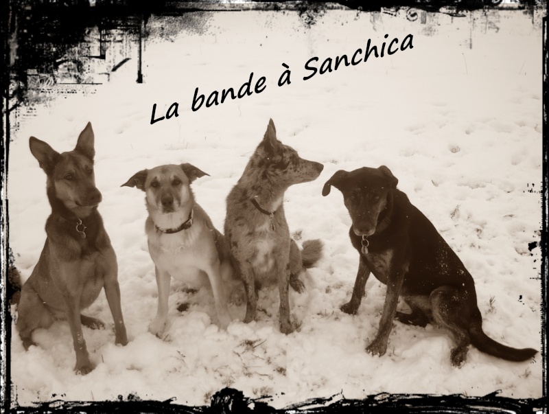 La bande a Sanchica - Page 29 063b10