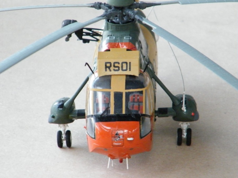 Sea King, 49 ième Esc.  2010_011