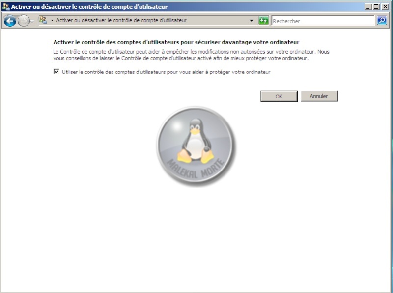 Supprimer Magic.Control / egdaccess / NaviPromo / Popups Spyware-Secure Vista_14