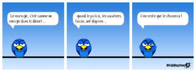 [JEUDI] - Les Birds - [ARCHIVES 01] - Page 33 29597610