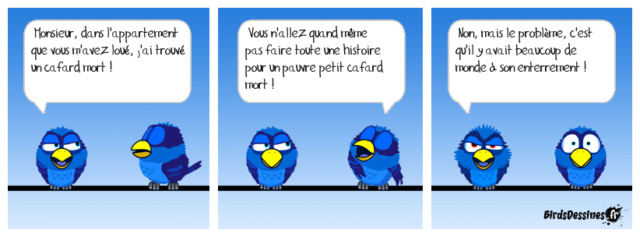 [JEUDI] - Les Birds - [ARCHIVES 01] - Page 33 29598210