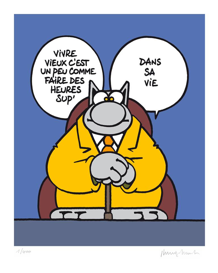 [MARDI] - Le Chat - Page 24 36296912