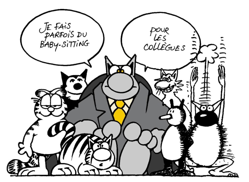 [MARDI] - Le Chat - Page 13 38671011