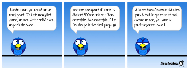[JEUDI] - Les Birds - [ARCHIVES 01] - Page 28 47018810