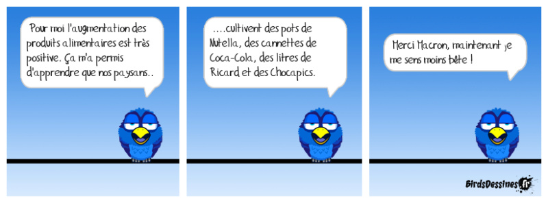[JEUDI] - Les Birds - [ARCHIVES 01] - Page 24 51735310