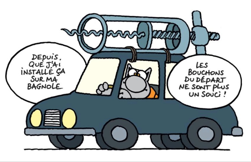 [MARDI] - Le Chat - Page 19 54685612