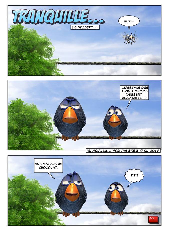 [JEUDI] - Les Birds - [ARCHIVES 01] - Page 21 56306610