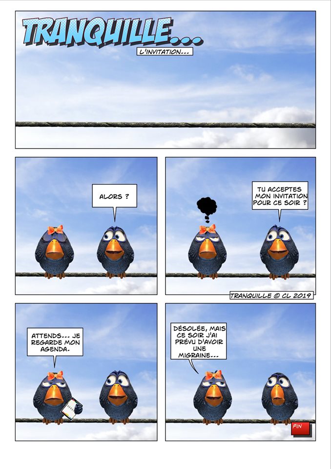 [JEUDI] - Les Birds - [ARCHIVES 01] - Page 15 66790610