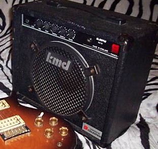 What amp(s) are you using? 1978_110