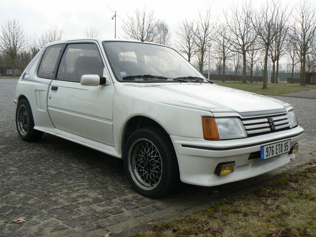 [72] les 25 ans de la 205 GTI - le mans- 21-22 février 2009 Gut10