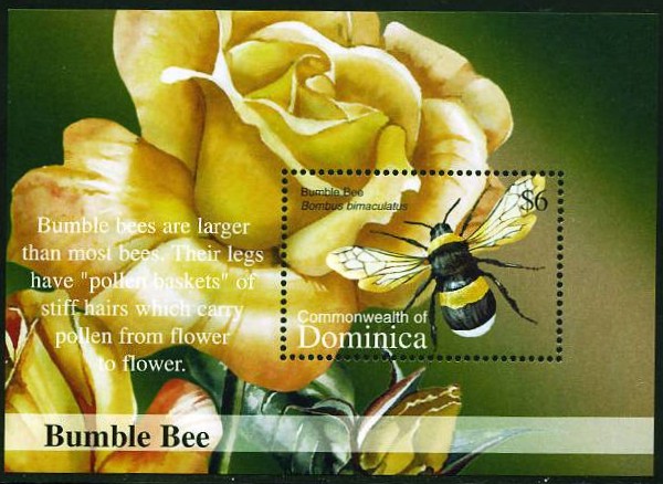 china - Motiv Bienen und Hummeln - Seite 2 2002_h10