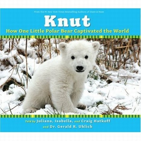 Knut, l'ours polaire Knut10