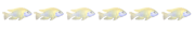 Nouveau membre Nouveau membre
