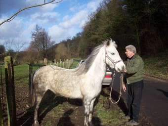 PRINCESSE - ONC poney née en 2003 - aveugle - adoptée en août 2009  Ponett14