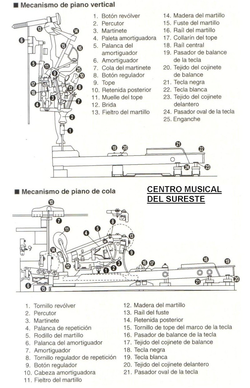 Mecanismo de Pianos Verticales y Pianos de Cola Piano210