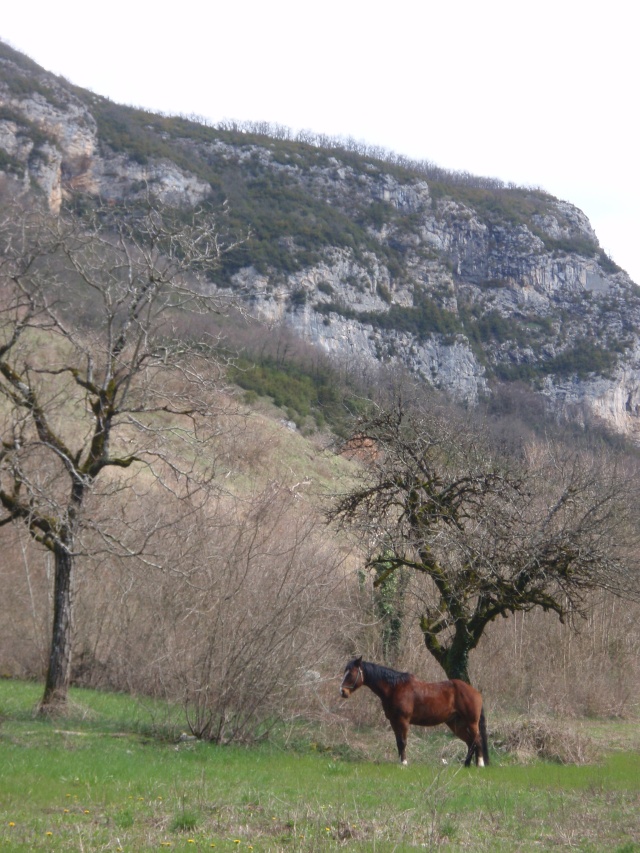 Week end de folie dans le Bugey P4040028