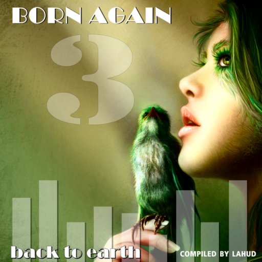 VA - Born Again 3 Back To Earth A0502610