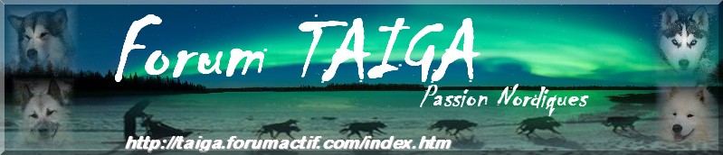 nouvelle déco pour Taiga - Page 6 Bannia22