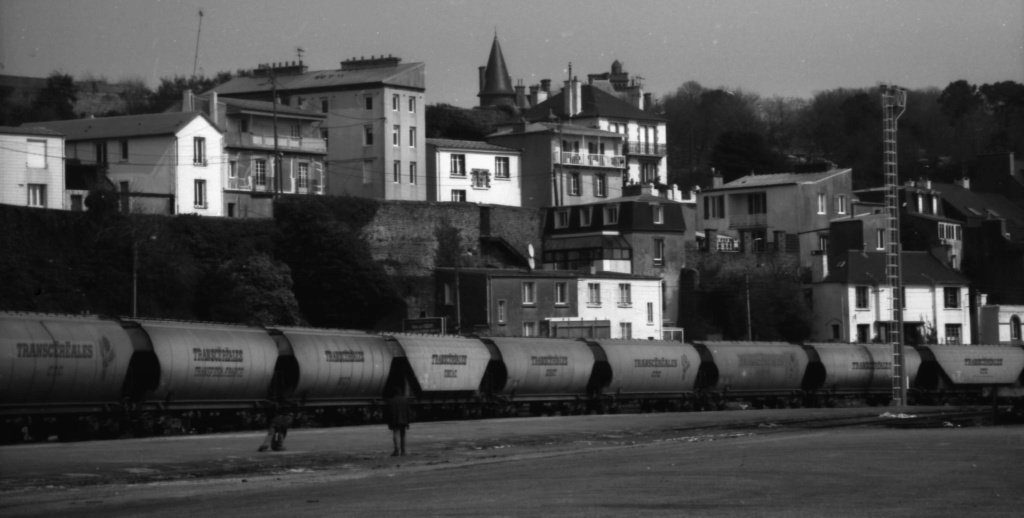 Brest port retour du fret ferroviaire graines de colza Bunge Brest_90