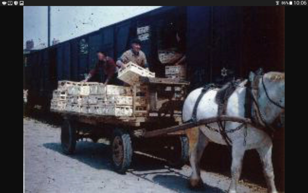 St Pol de Léon trafic marchandises Screen10