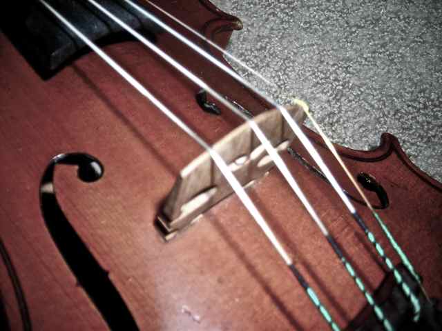 Violins!!!! Violin14