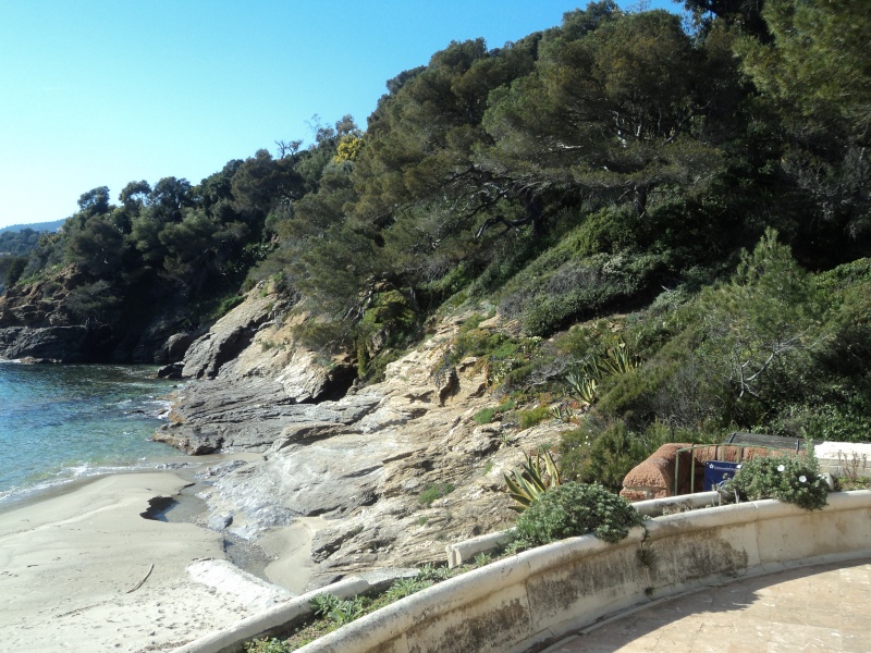 Balade dans le Parc Botanique du Rayol (83) Dsc00918