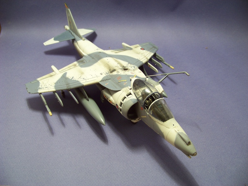 Harrier GR7 Snow falcon  [REVELL] 1/48 - Page 2 100_1018
