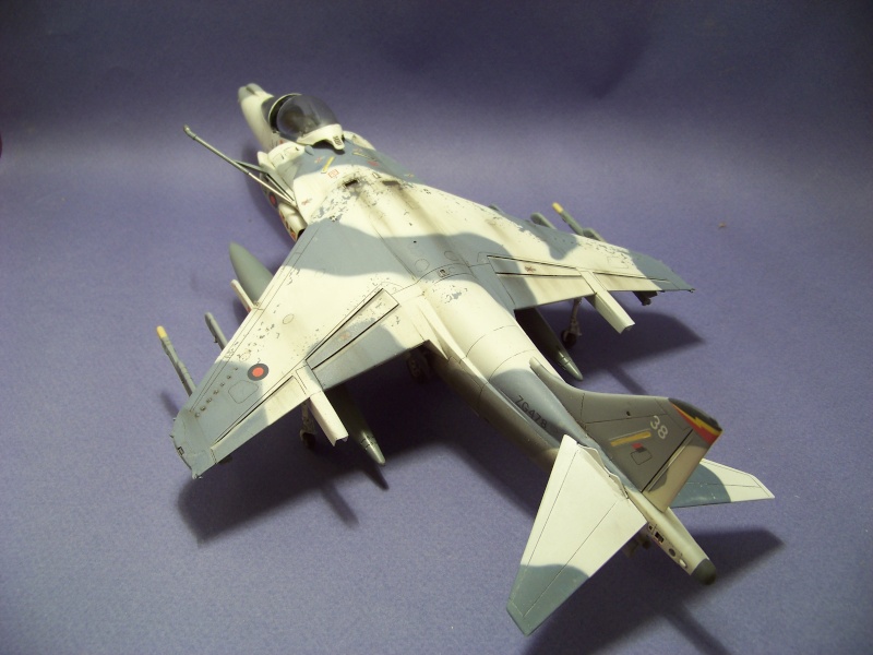 Harrier GR7 Snow falcon  [REVELL] 1/48 - Page 2 100_1019