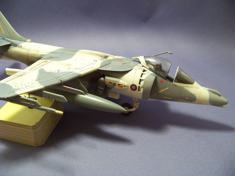Harrier GR7 Snow falcon  [REVELL] 1/48 - Page 2 100_1020