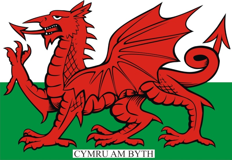 the story behind the oldest know nation flag still used the welsh flag Welsh_10