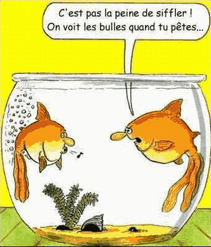 Images marrantes Humour10